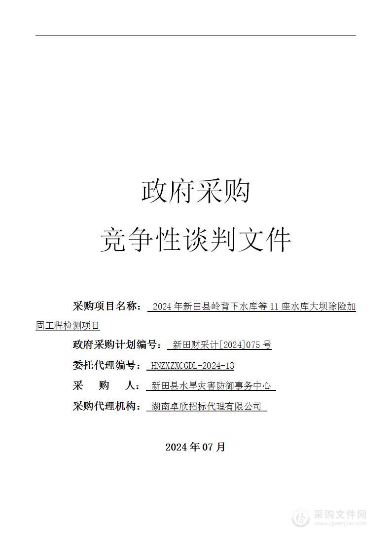 2024年新田县岭背下水库等11座水库大坝除险加固工程检测项目