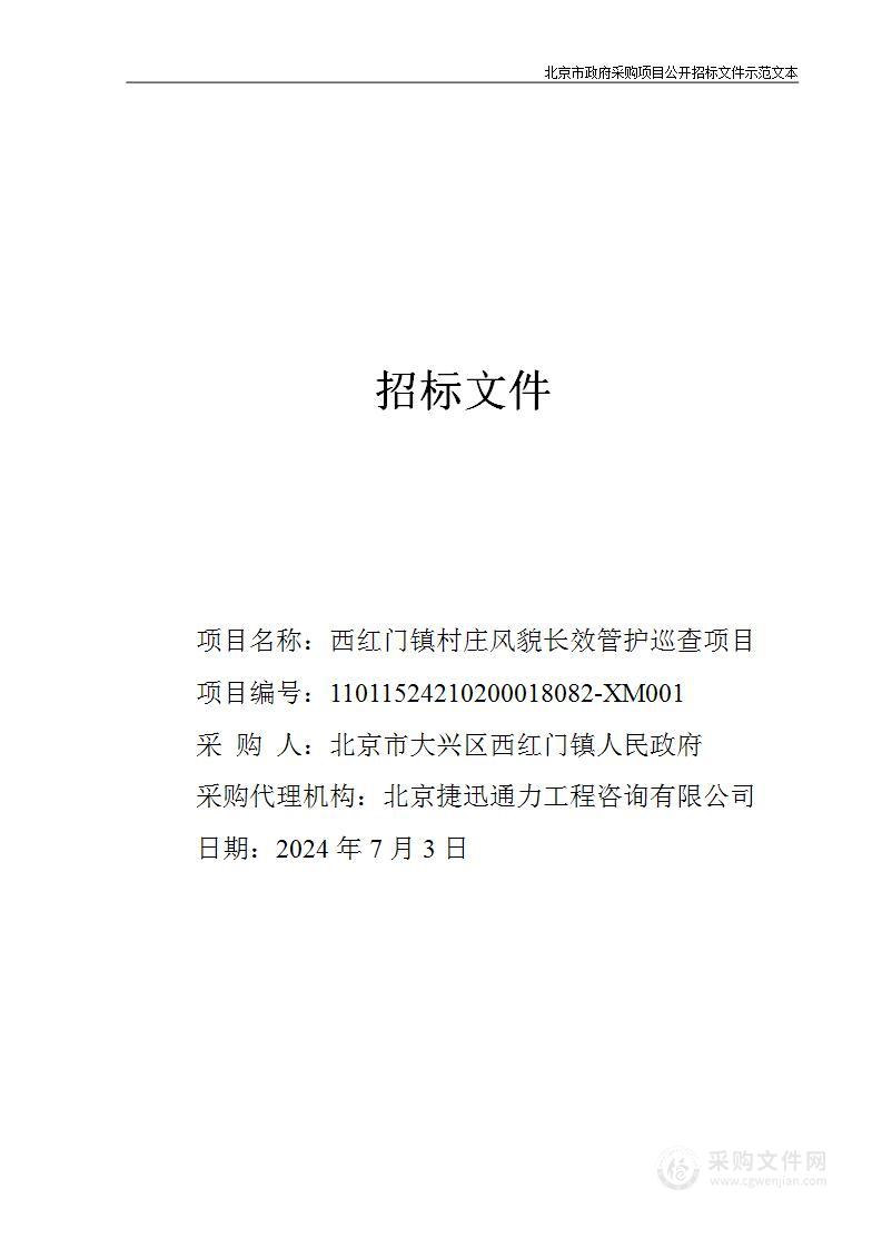 西红门镇村庄风貌长效管护巡查项目