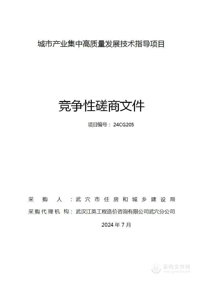 城市产业集中高质量发展技术指导项目