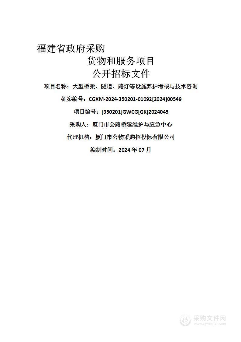 大型桥梁、隧道、路灯等设施养护考核与技术咨询