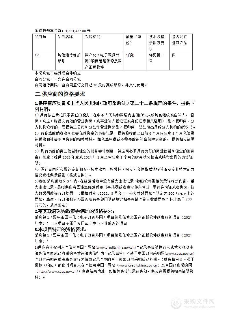 恩平市国产化（电子政务外网）项目运维保修及国产正版软件续费服务项目（2024年度）