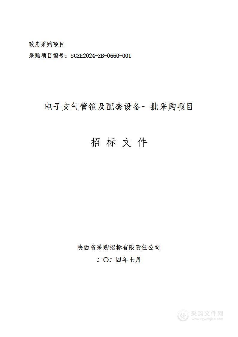 电子支气管镜及配套设备一批采购项目