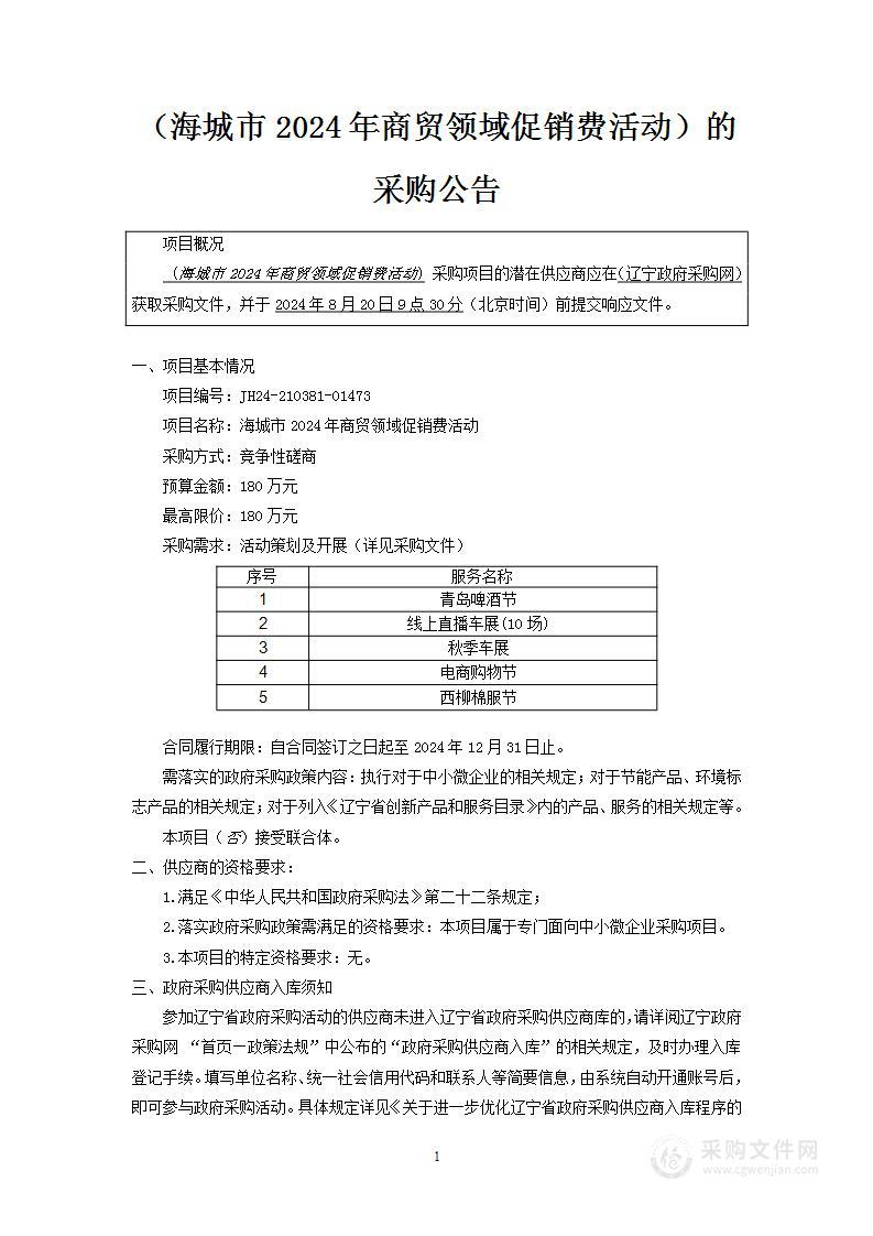 海城市2024年商贸领域促销费活动