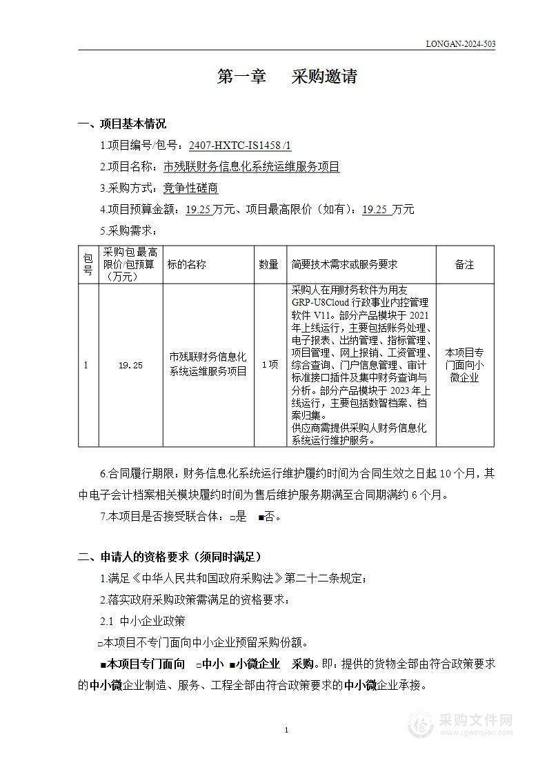 市残联财务信息化系统运维服务项目