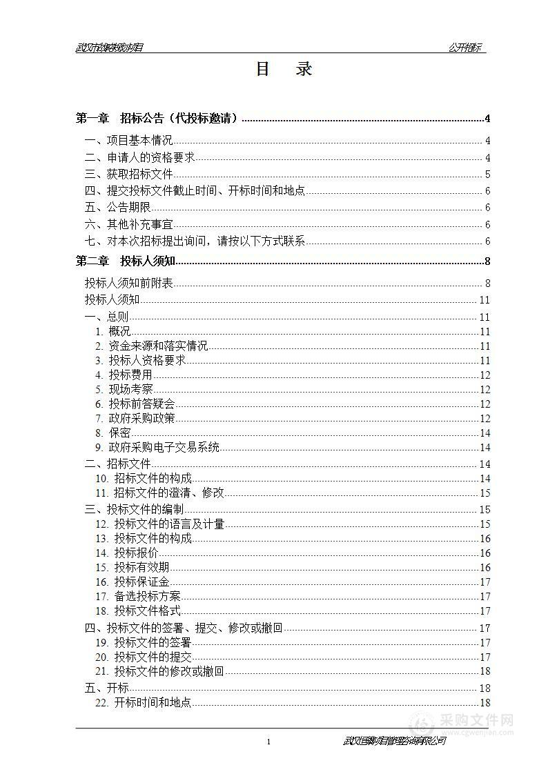 武汉市战略规划项目