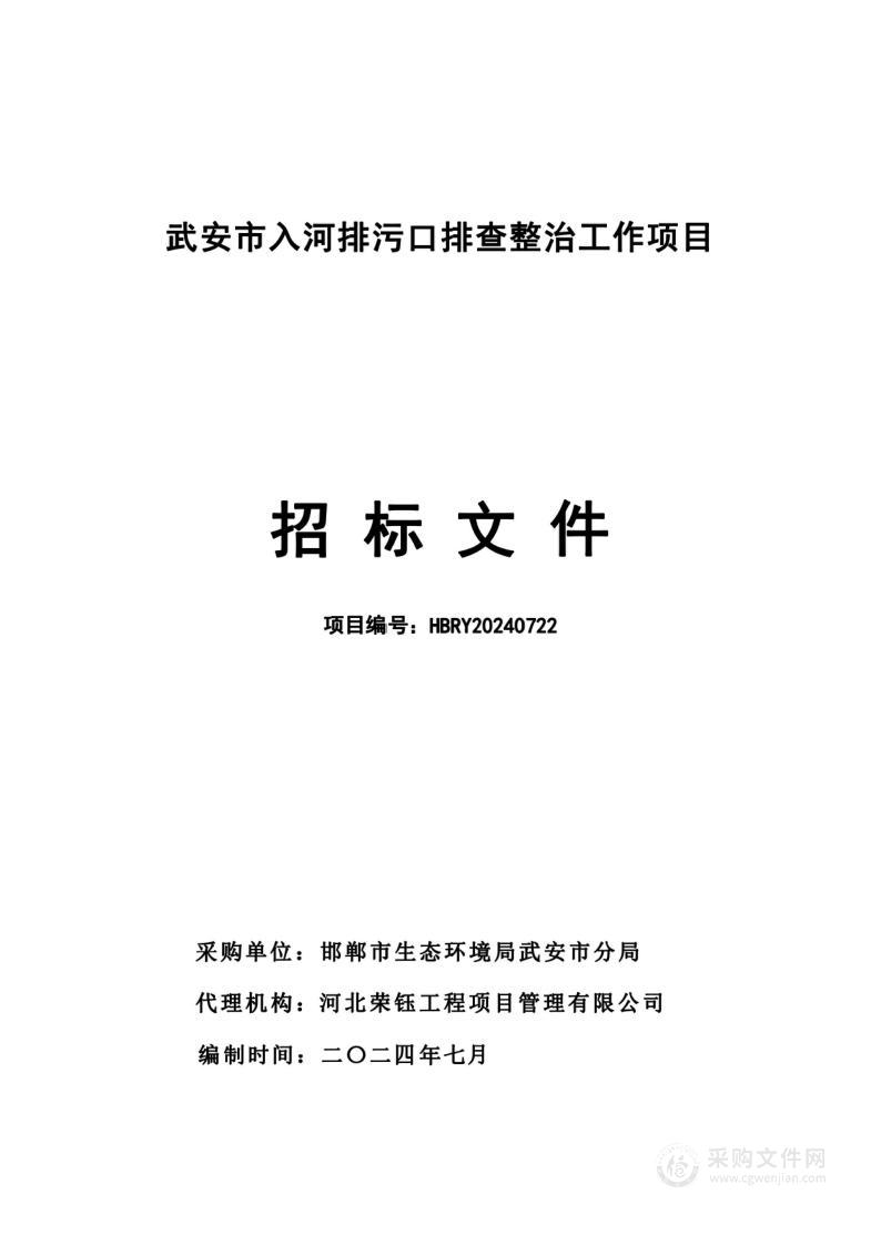 武安市入河排污口排查整治工作项目