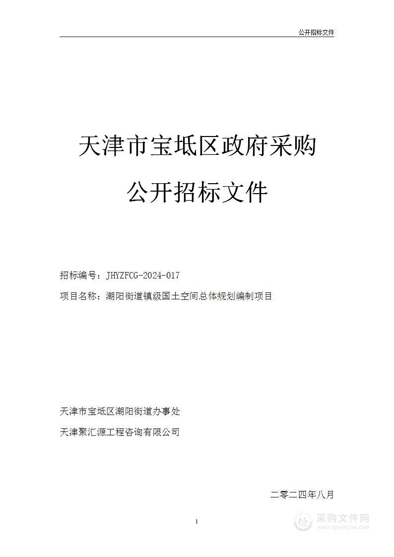 潮阳街道镇级国土空间总体规划编制项目