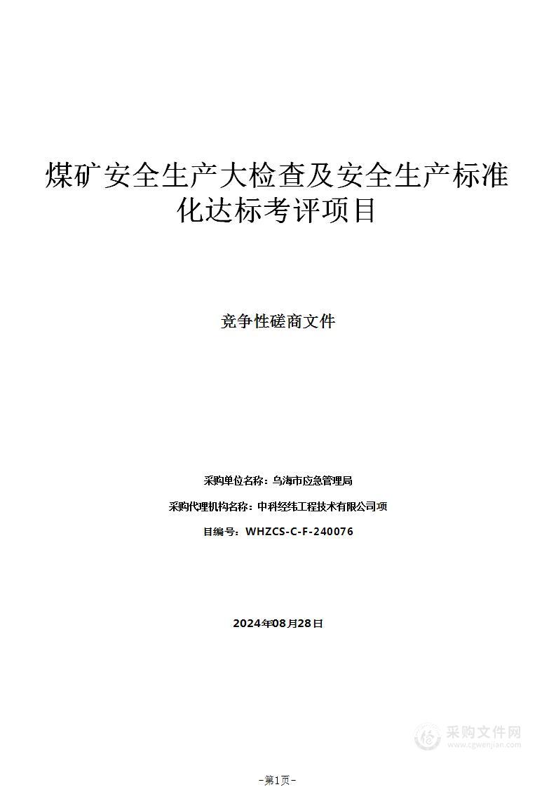 煤矿安全生产大检查及安全生产标准化达标考评项目