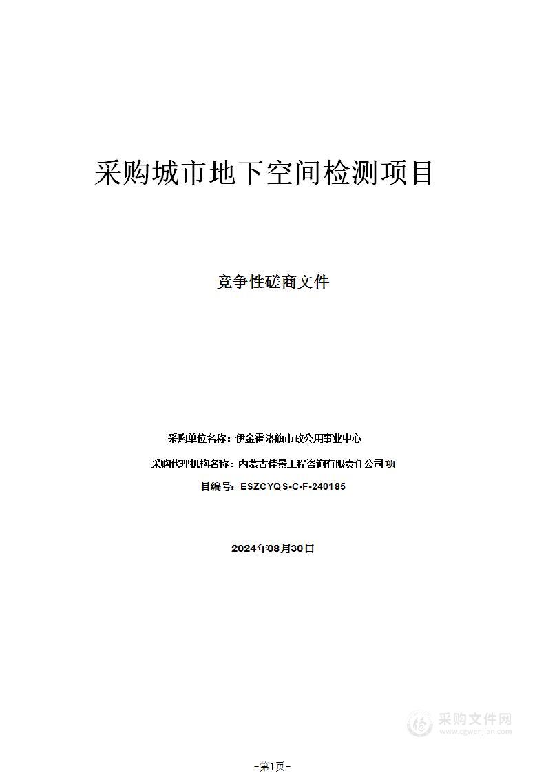 采购城市地下空间检测项目
