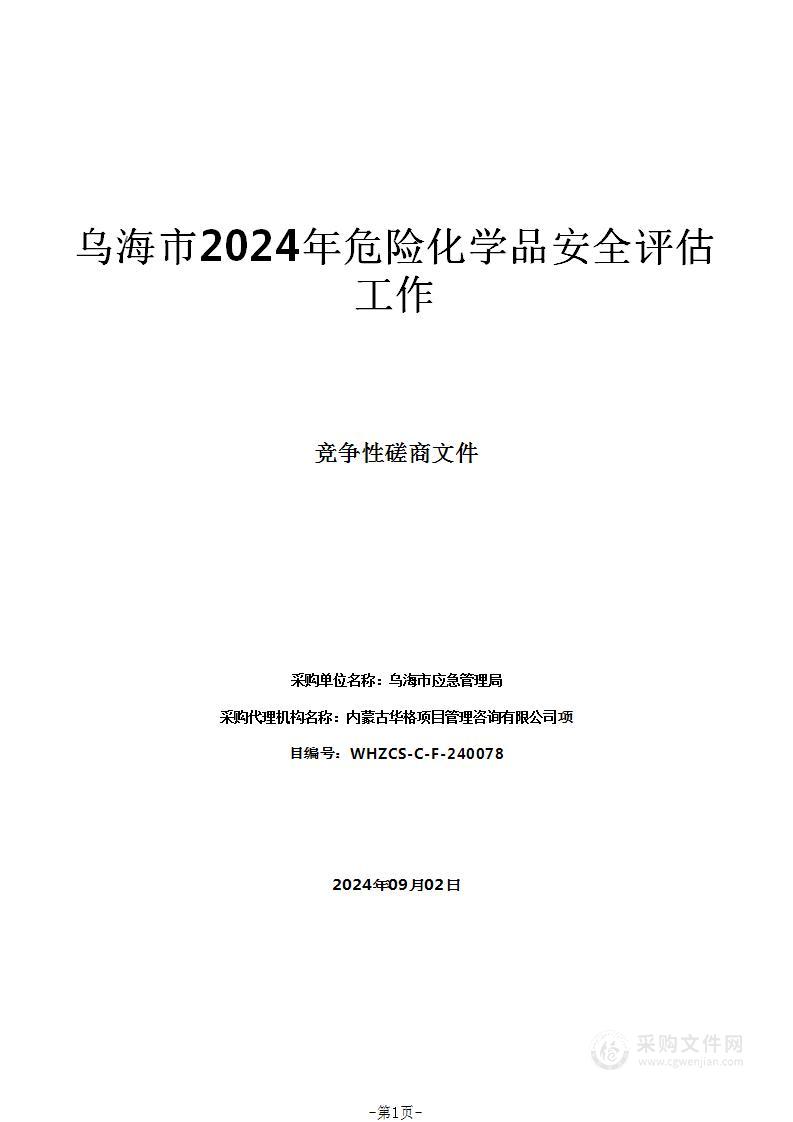 乌海市2024年危险化学品安全评估工作