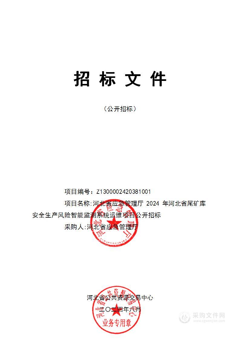 2024年河北省尾矿库安全生产风险智能监测系统运维项目