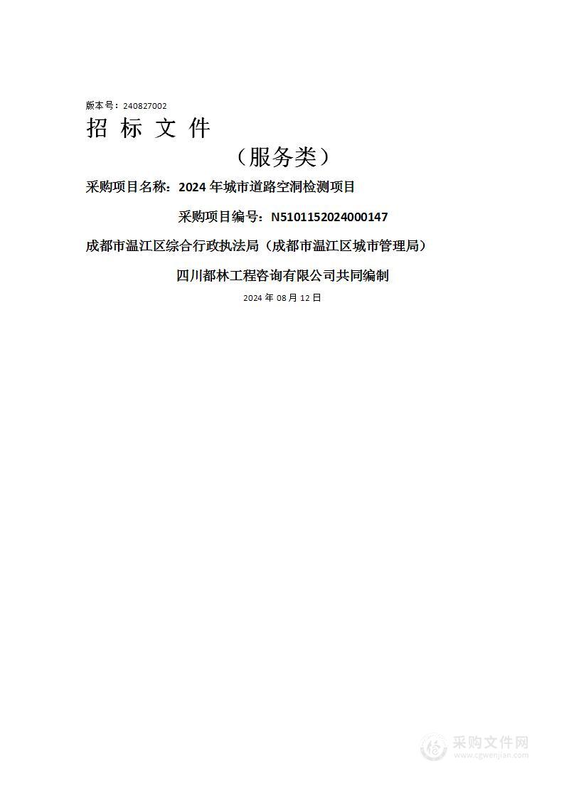 2024年城市道路空洞检测项目