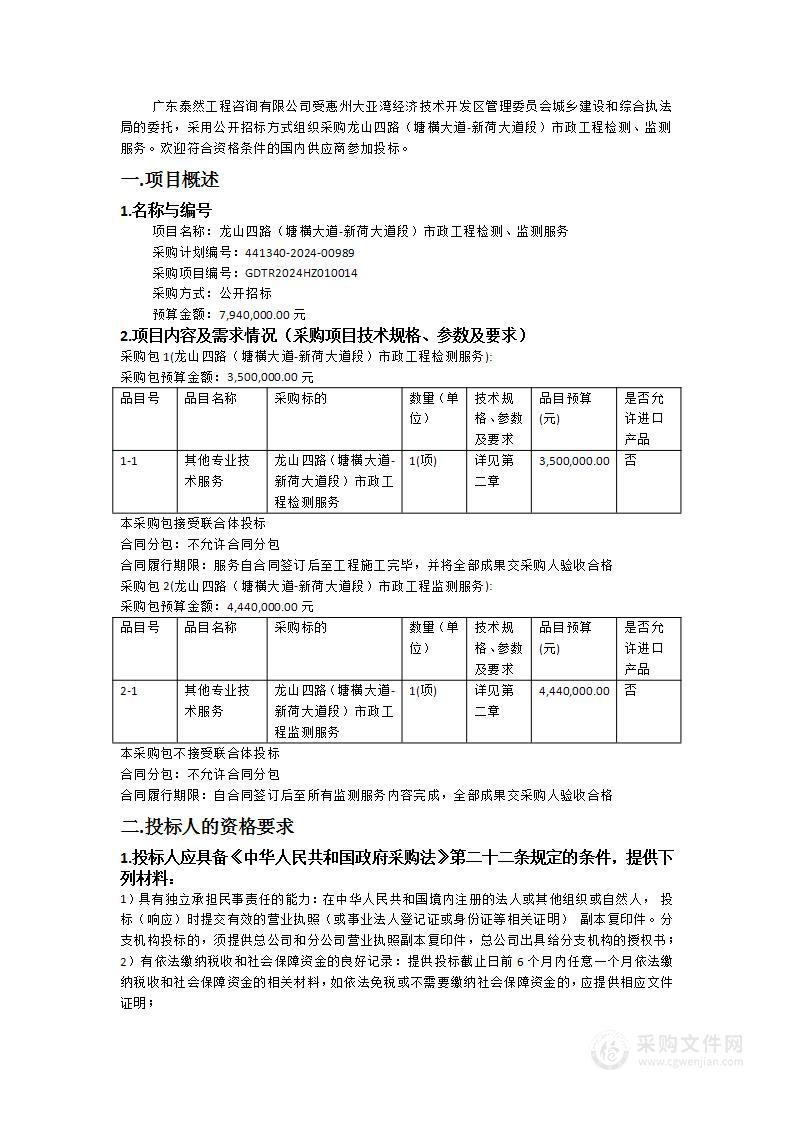 龙山四路（塘横大道-新荷大道段）市政工程检测、监测服务