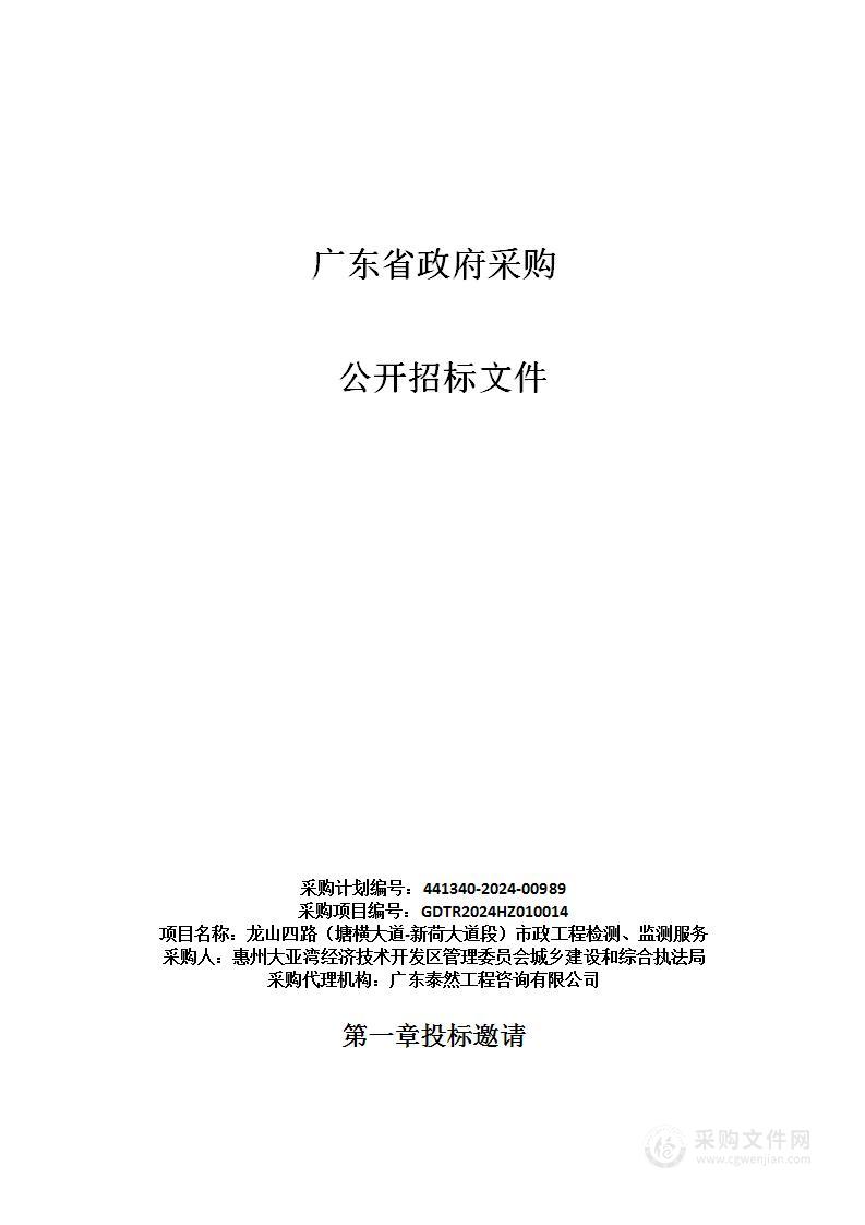 龙山四路（塘横大道-新荷大道段）市政工程检测、监测服务