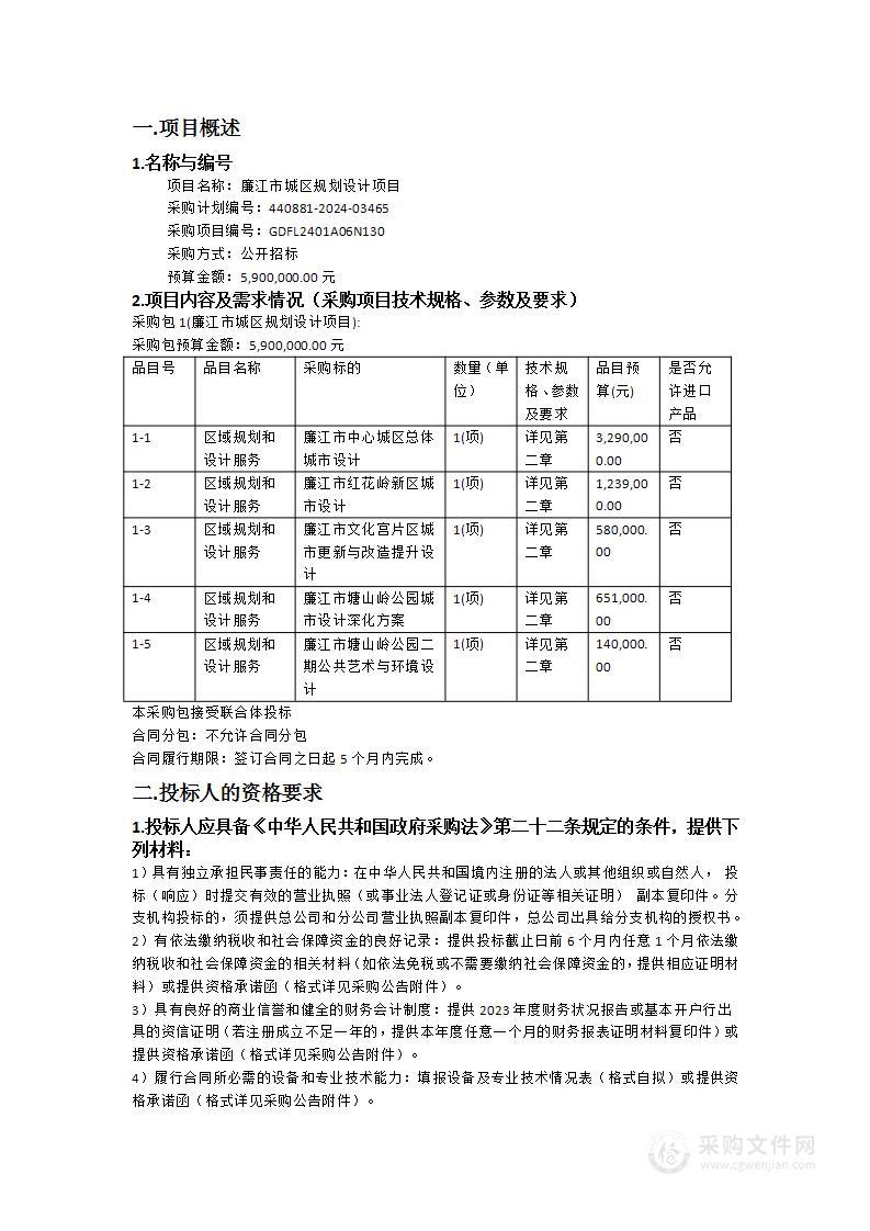 廉江市城区规划设计项目