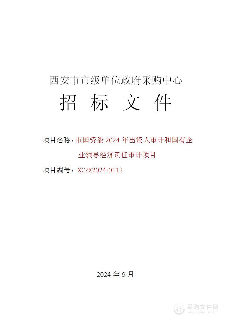 市国资委2024年出资人审计和国有企业领导经济责任审计项目