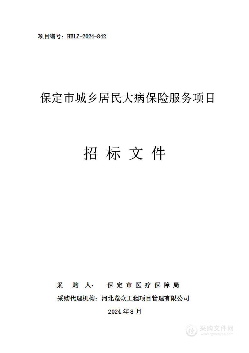 保定市城乡居民大病保险服务项目