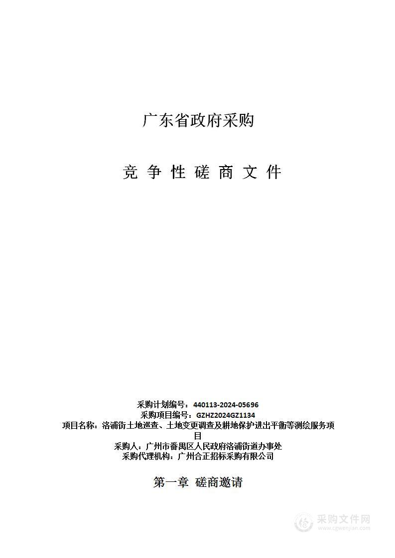 洛浦街土地巡查、土地变更调查及耕地保护进出平衡等测绘服务项目