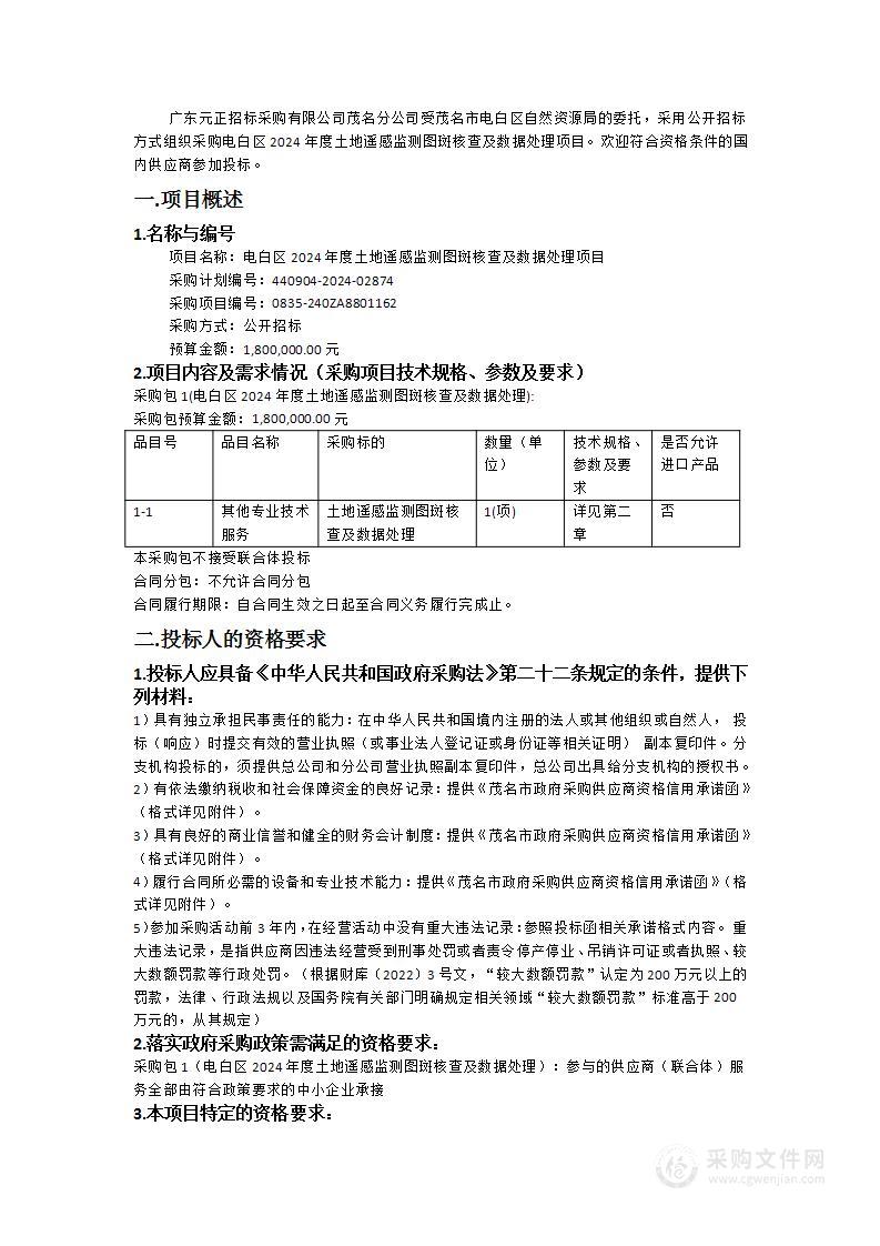 电白区2024年度土地遥感监测图斑核查及数据处理项目