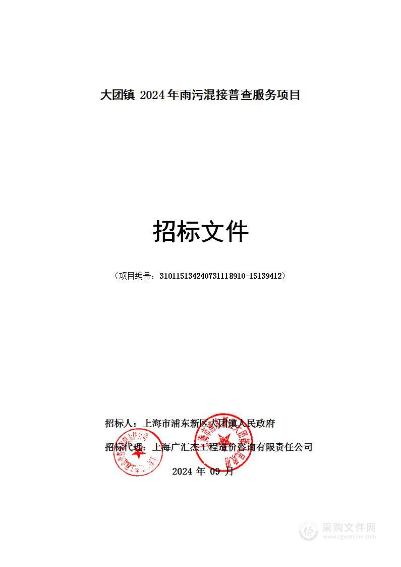 大团镇2024年雨污混接普查服务项目