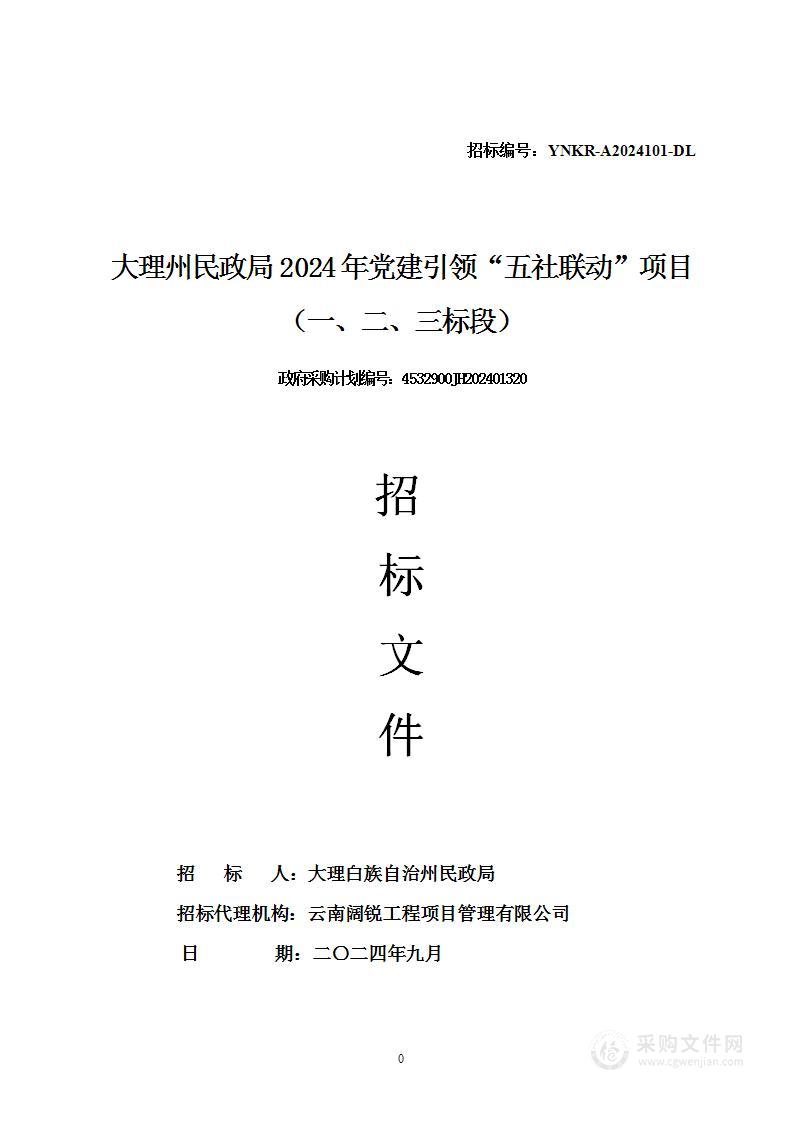 大理州民政局2024年党建引领“五社联动”项目（一、二、三标段）