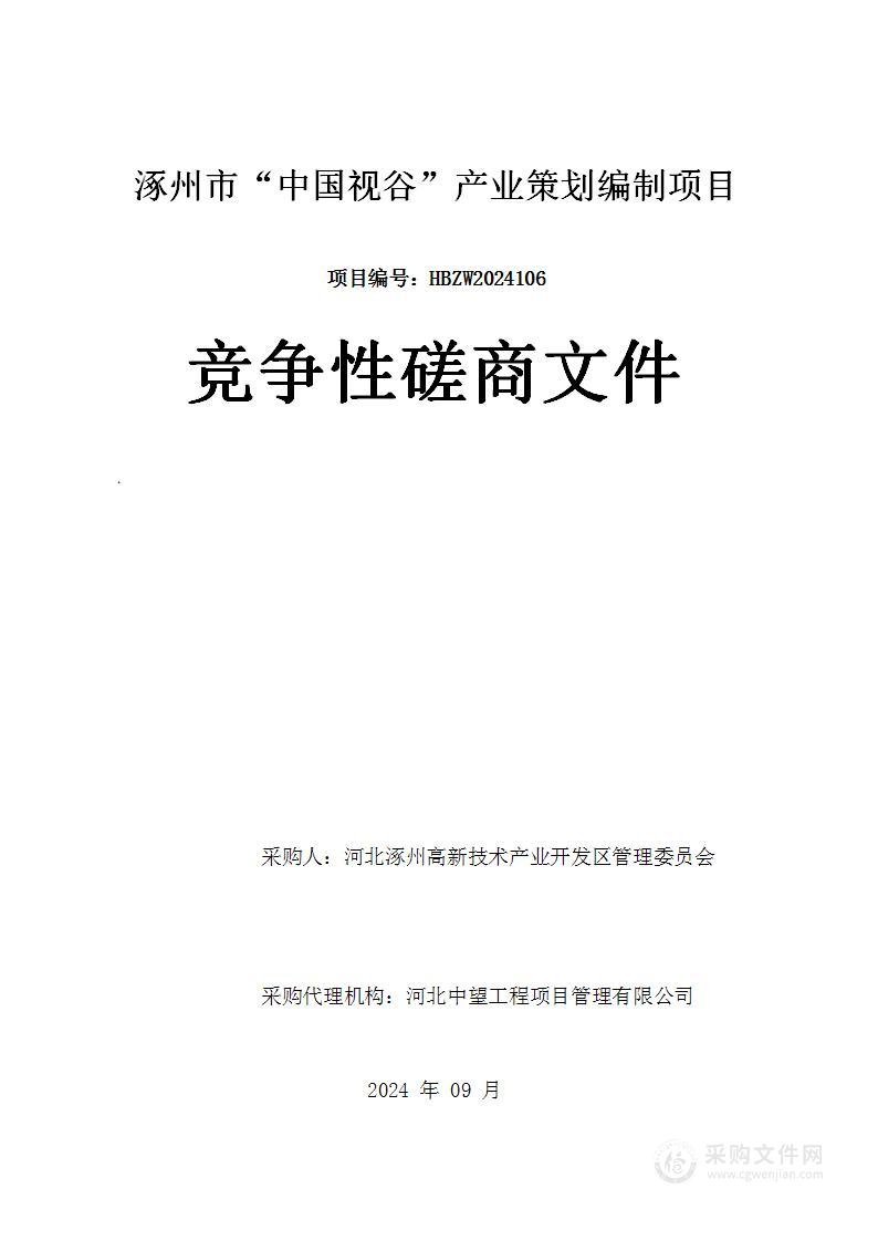 涿州市“中国视谷”产业策划编制