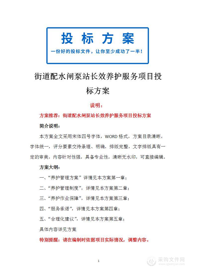 街道配水闸泵站长效养护服务项目投标方案