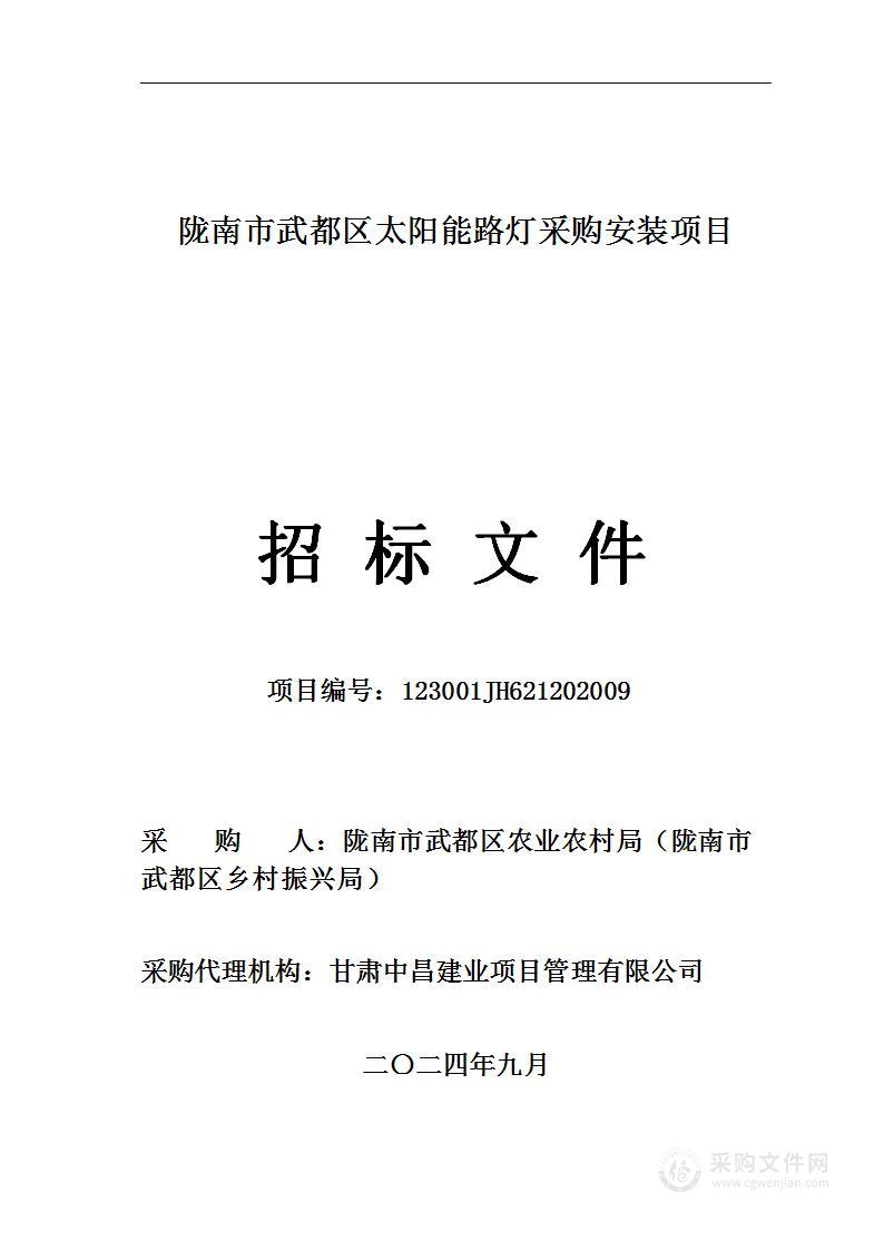 陇南市武都区太阳能路灯采购安装项目