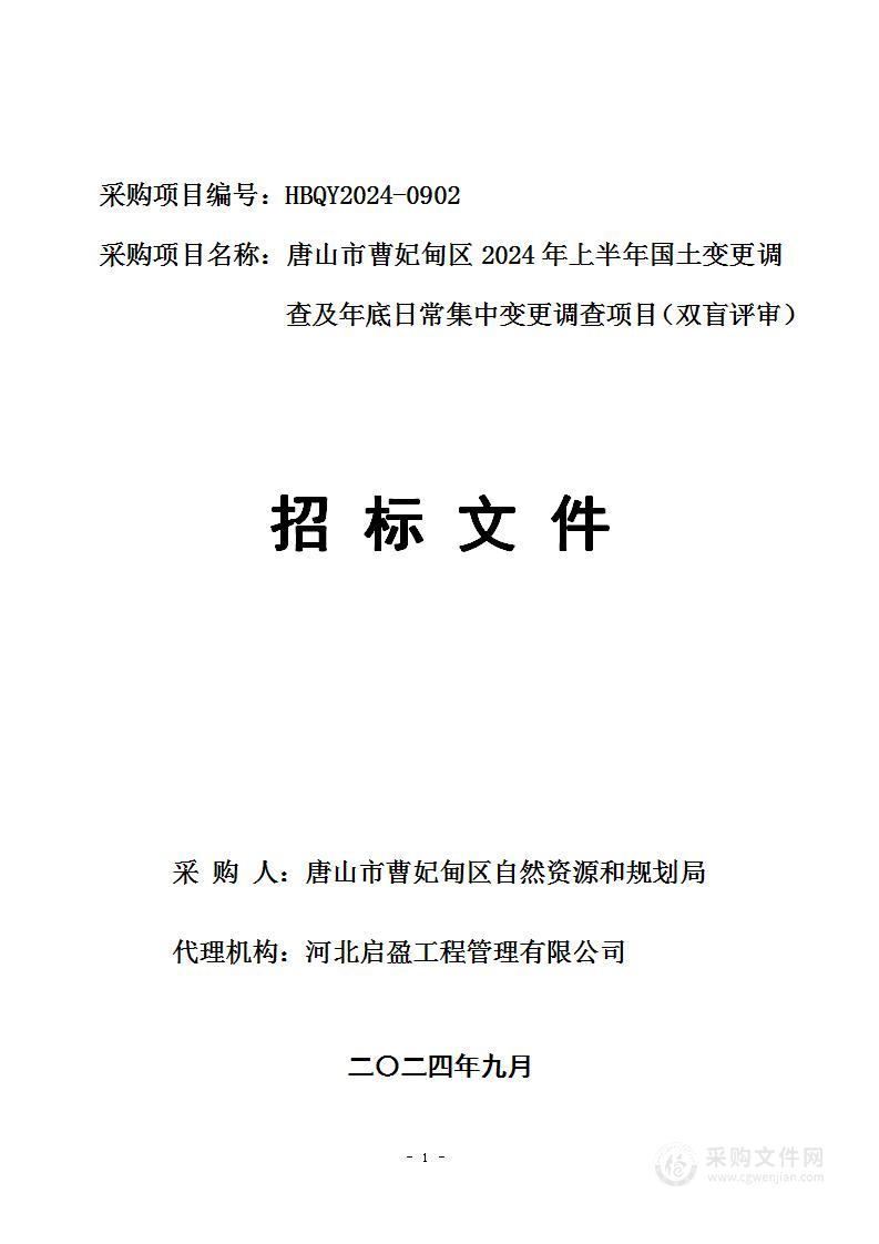 唐山市曹妃甸区2024年上半年国土变更调查及年底日常集中变更调查项目（双盲评审）