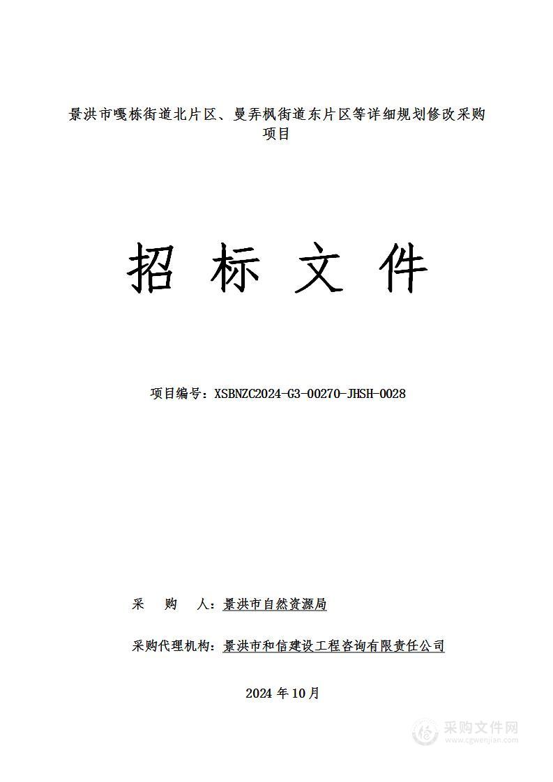 景洪市嘎栋街道北片区、曼弄枫街道东片区等详细规划修改采购项目