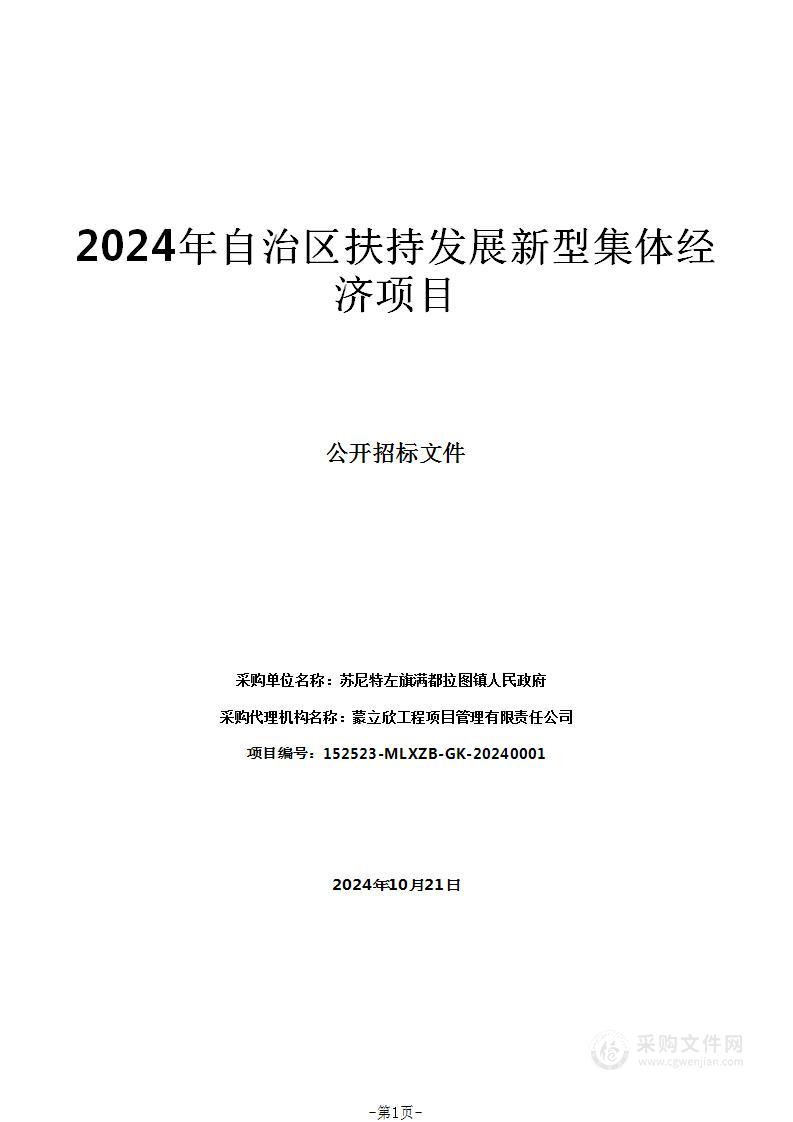 2024年自治区扶持发展新型集体经济项目