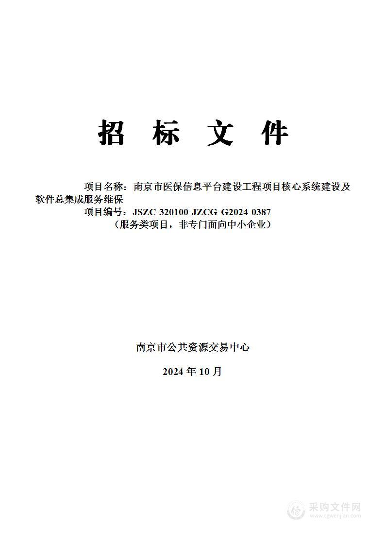 南京市医保信息平台建设工程项目核心系统建设及软件总集成服务维保