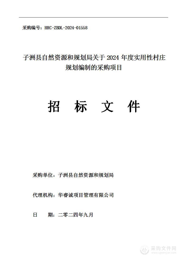 关于2024年度实用性村庄规划编制的采购项目