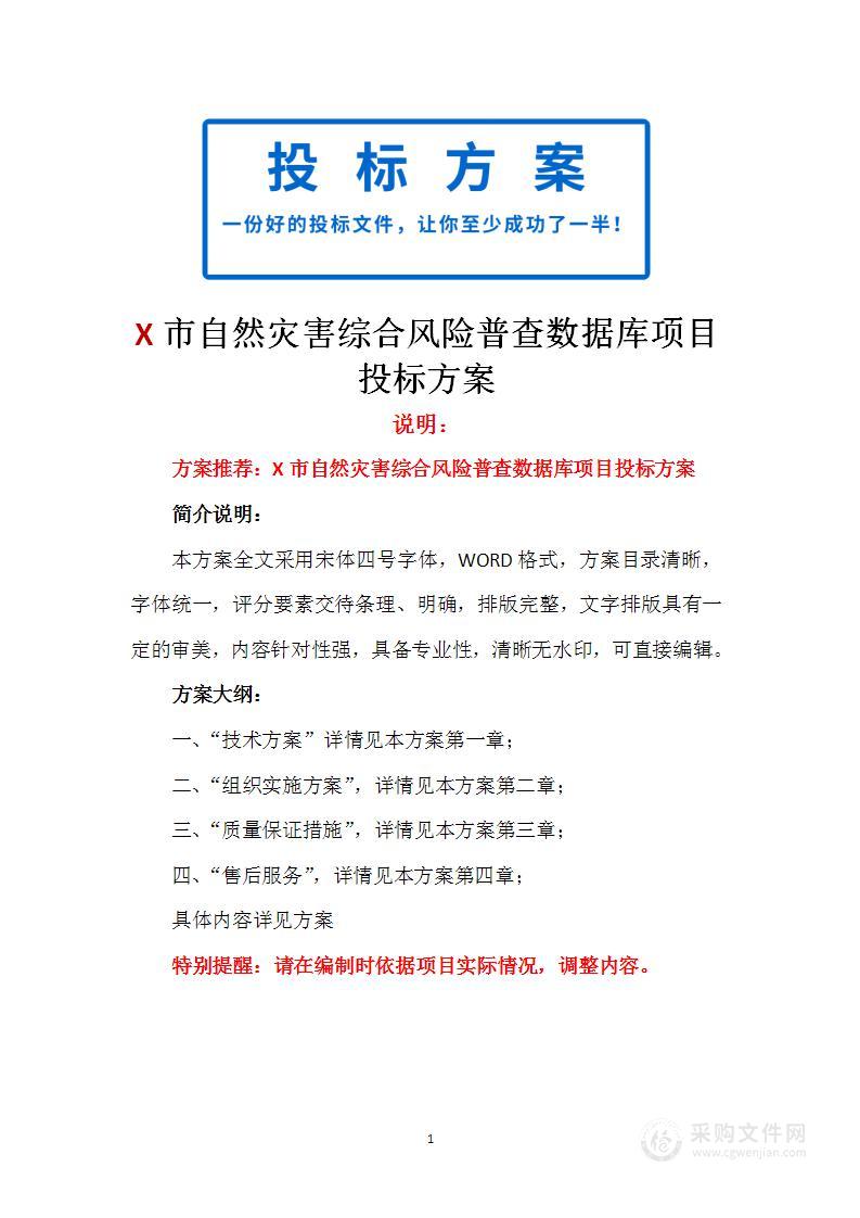 X市自然灾害综合风险普查数据库项目投标方案