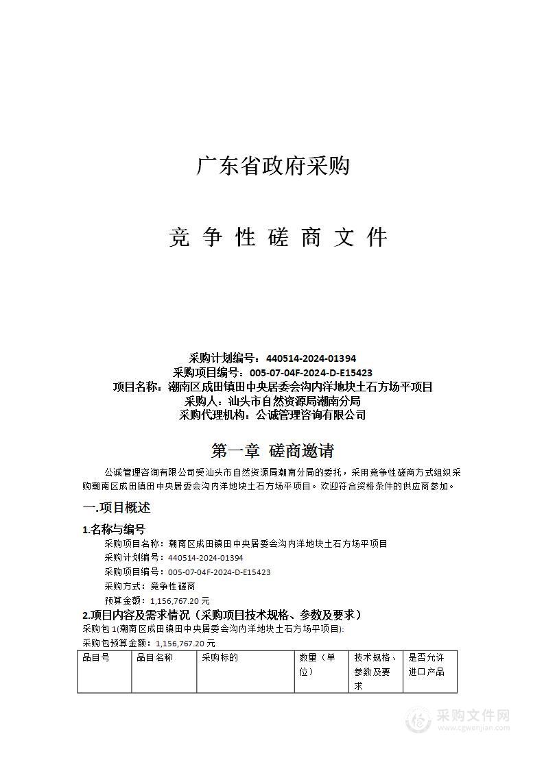 潮南区成田镇田中央居委会沟内洋地块土石方场平项目