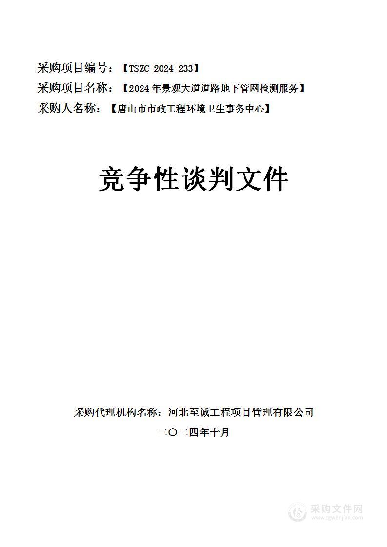 2024年景观大道道路地下管网检测服务