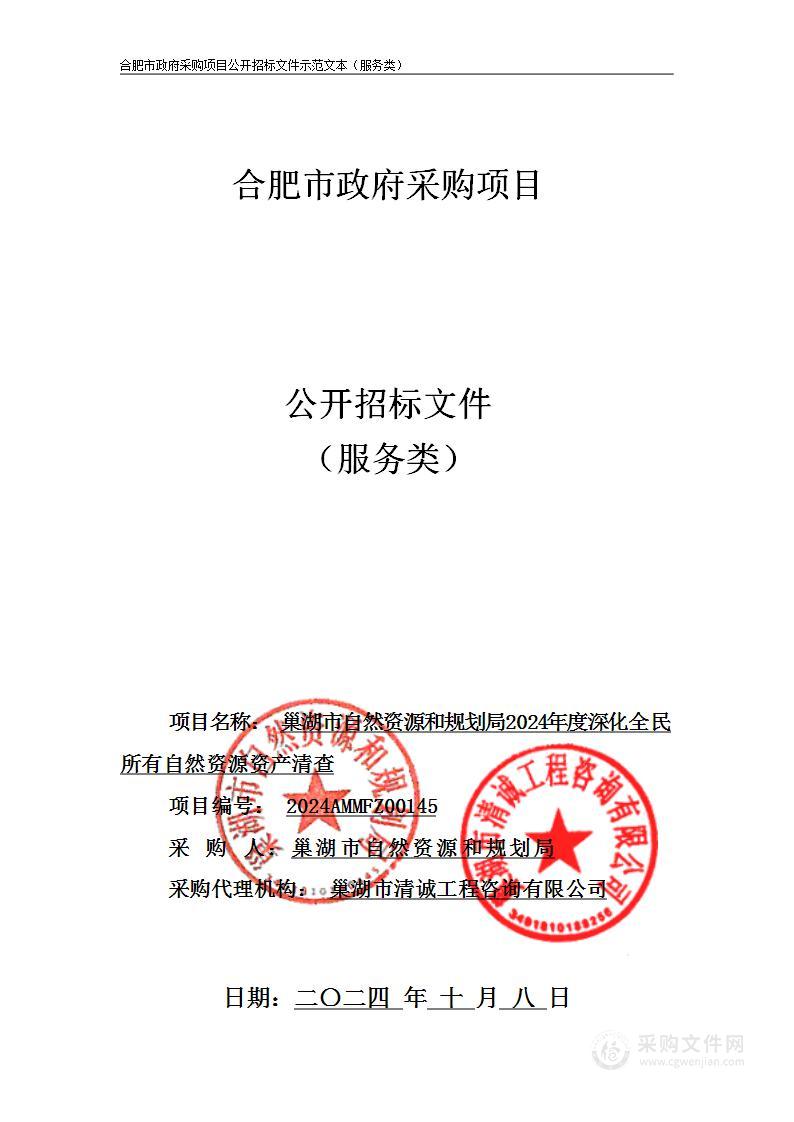 巢湖市自然资源和规划局2024年度深化全民所有自然资源资产清查