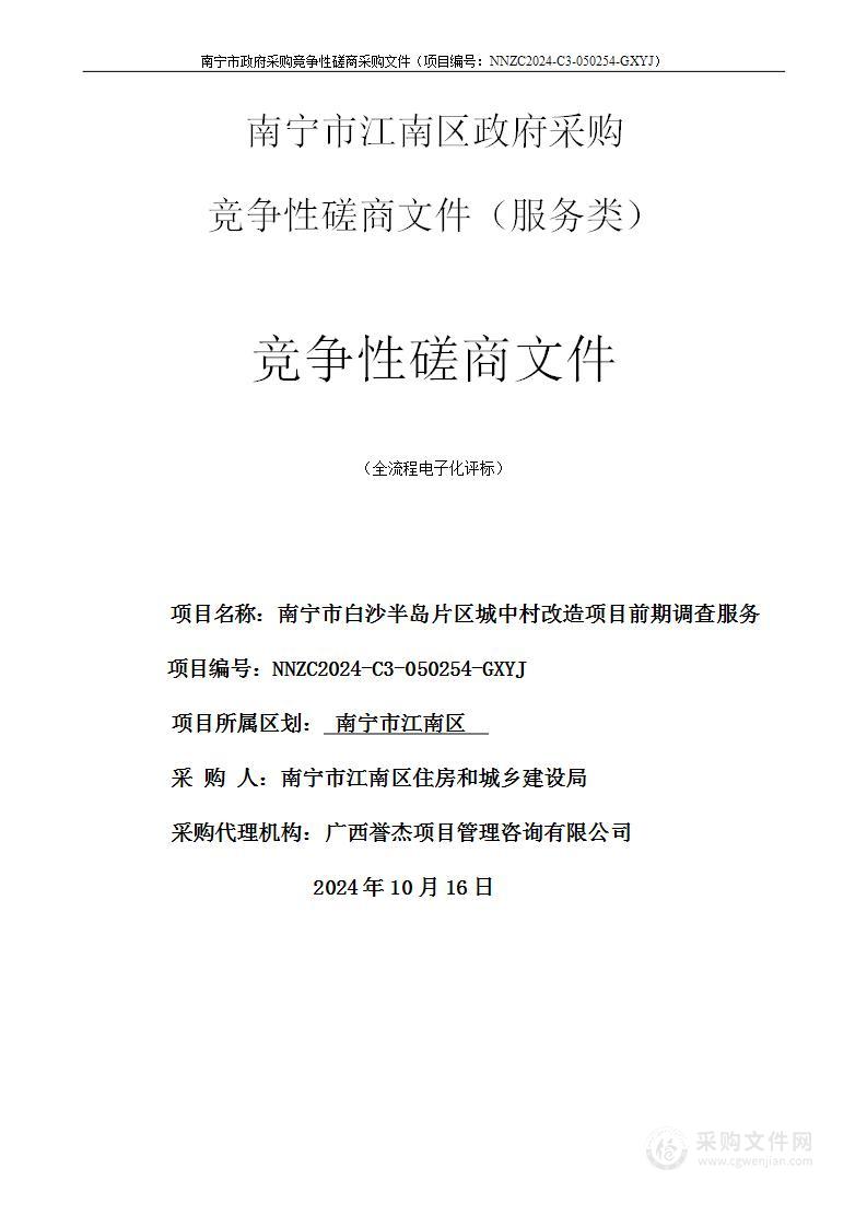 南宁市白沙半岛片区城中村改造项目前期调查服务