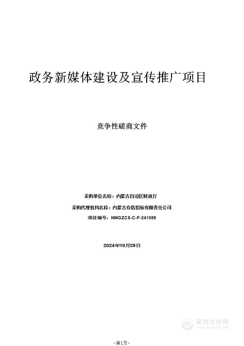 政务新媒体建设及宣传推广项目