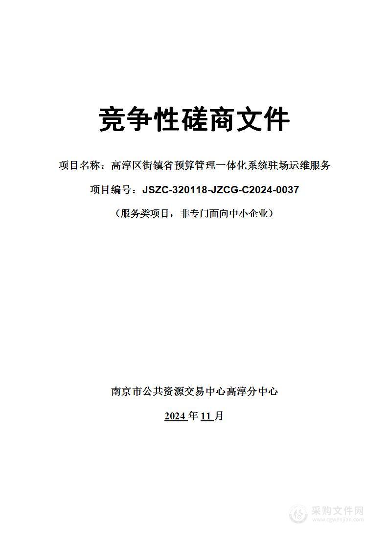 高淳区街镇省预算管理一体化系统驻场运维服务