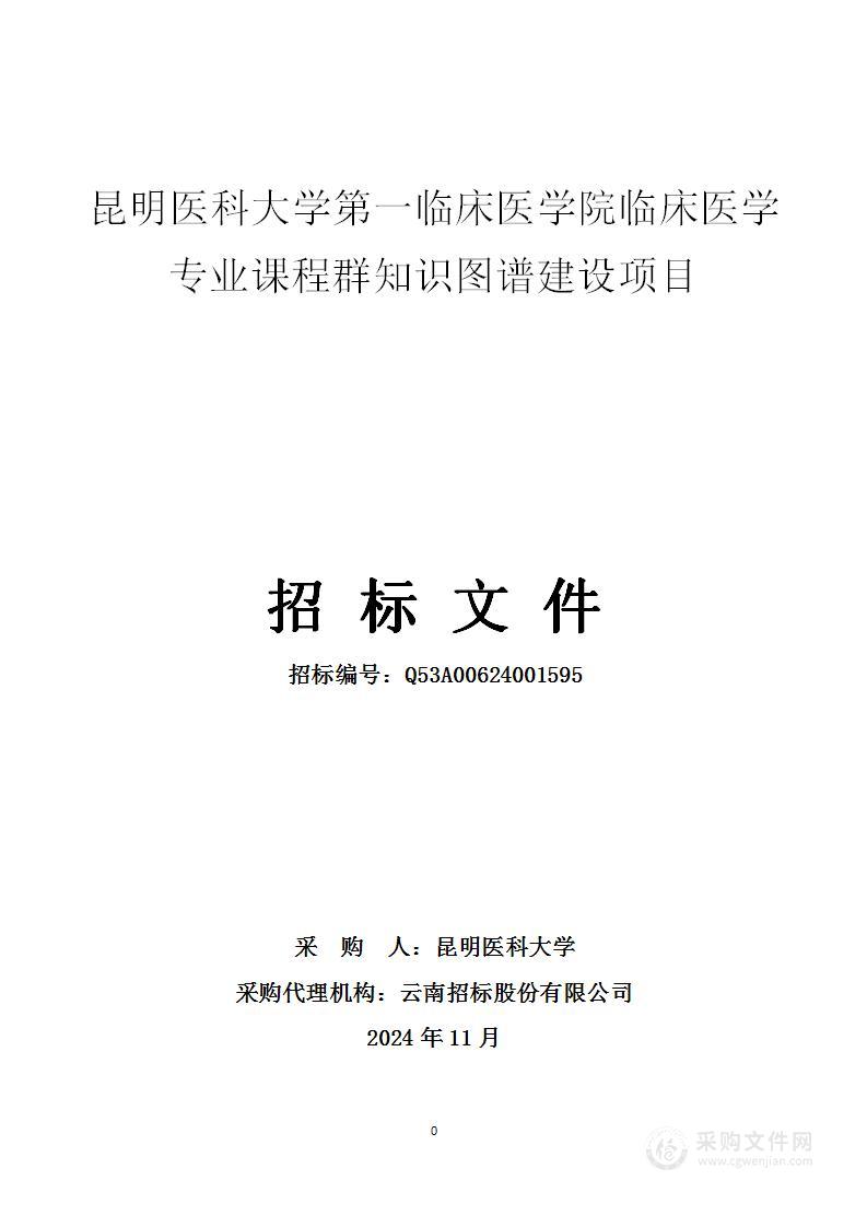 昆明医科大学第一临床医学院临床医学专业课程群知识图谱建设项目