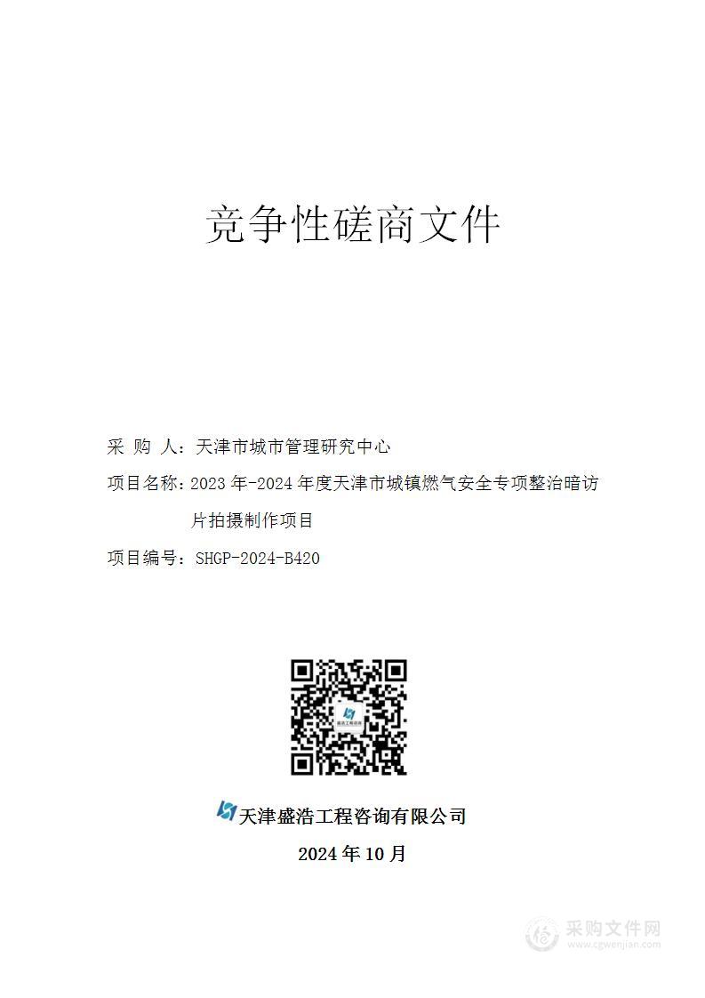 2023年-2024年度天津市城镇燃气安全专项整治暗访片拍摄制作项目