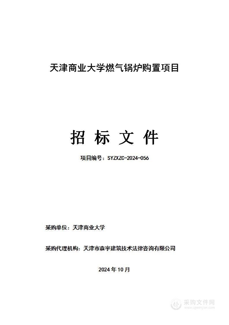 天津商业大学燃气锅炉购置项目