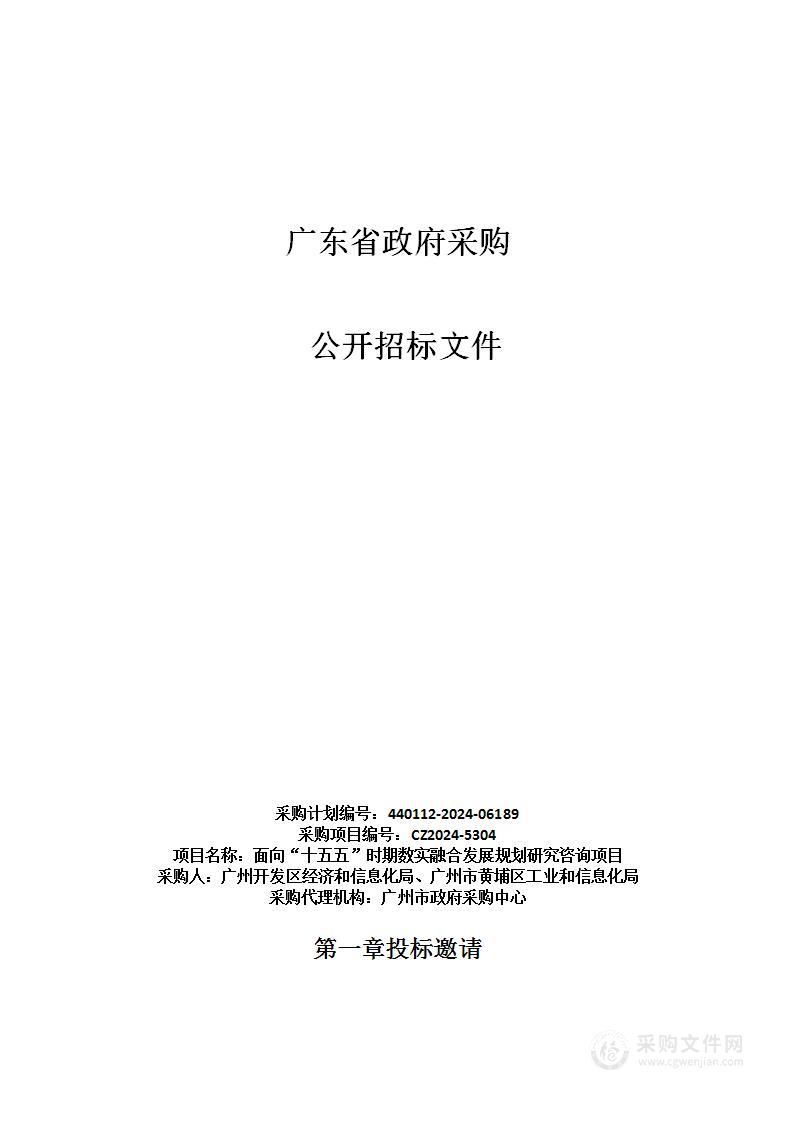 面向“十五五”时期数实融合发展规划研究咨询项目