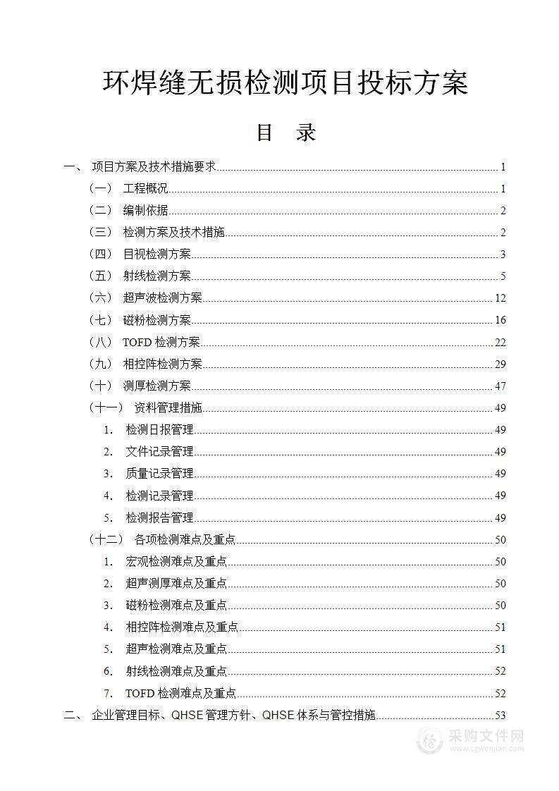 西二线新增环焊缝无损检测项目99页