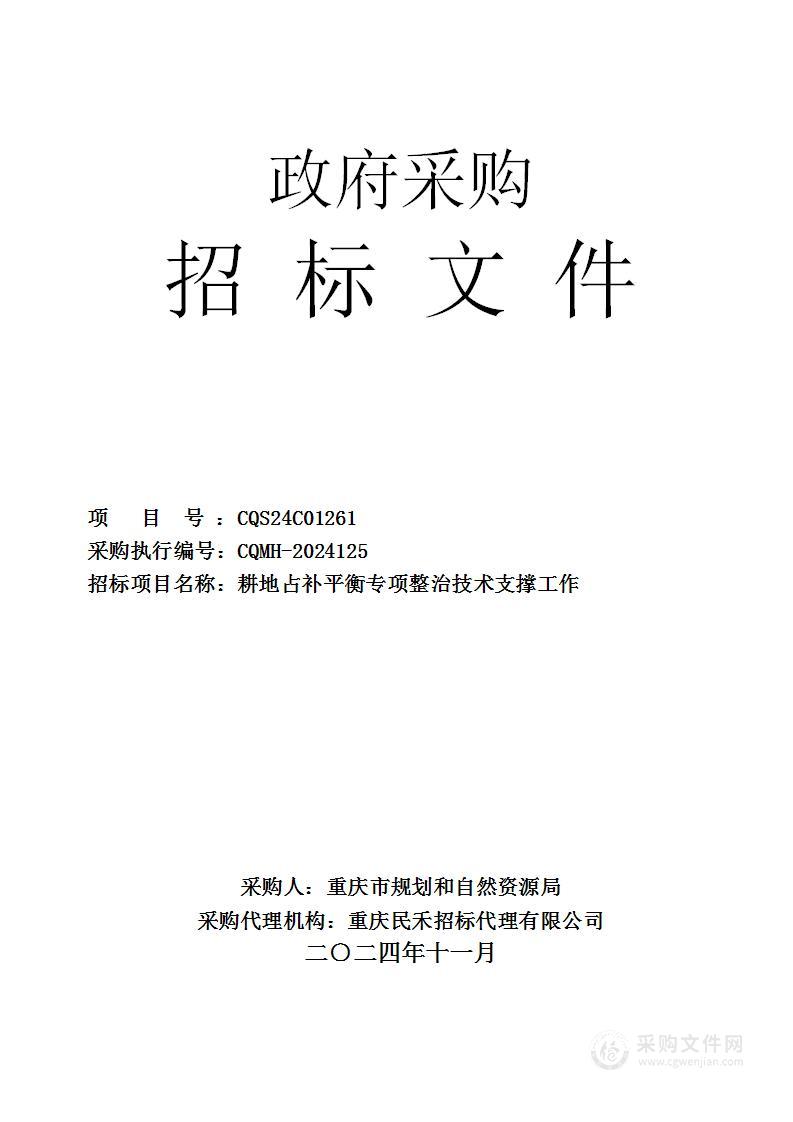 耕地占补平衡专项整治技术支撑工作