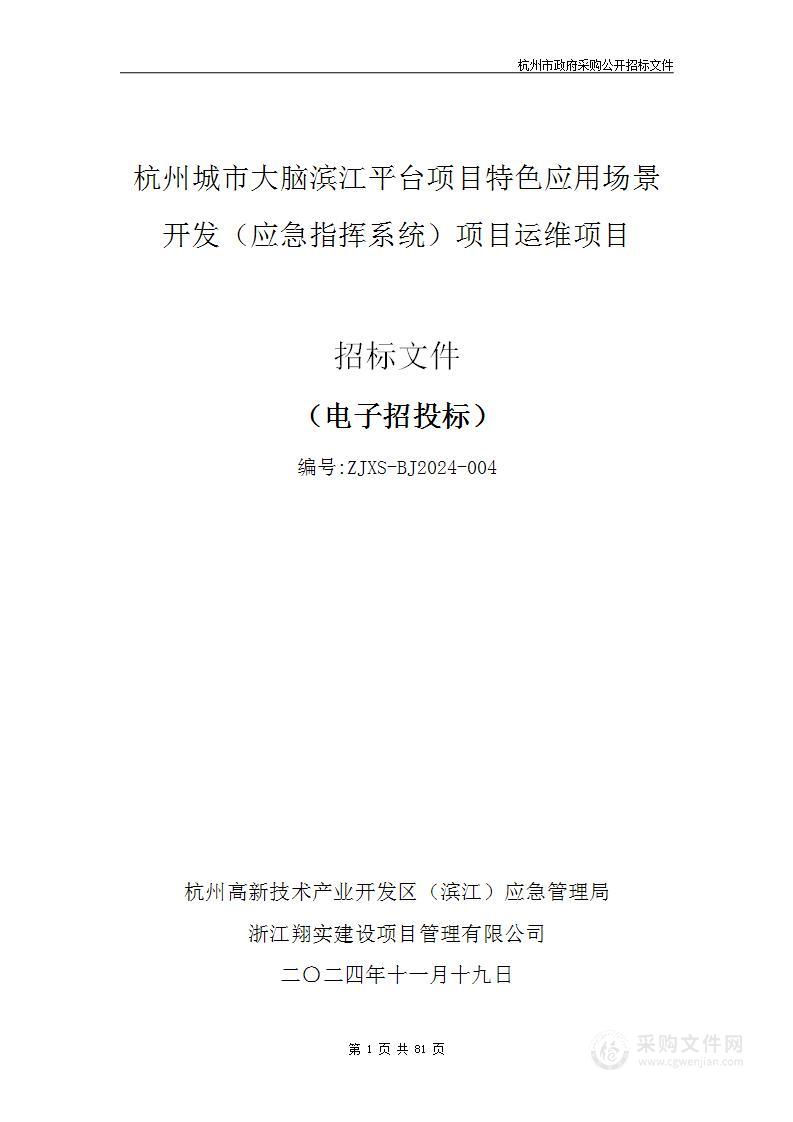 杭州城市大脑滨江平台项目特色应用场景开发（应急指挥系统）项目运维项目