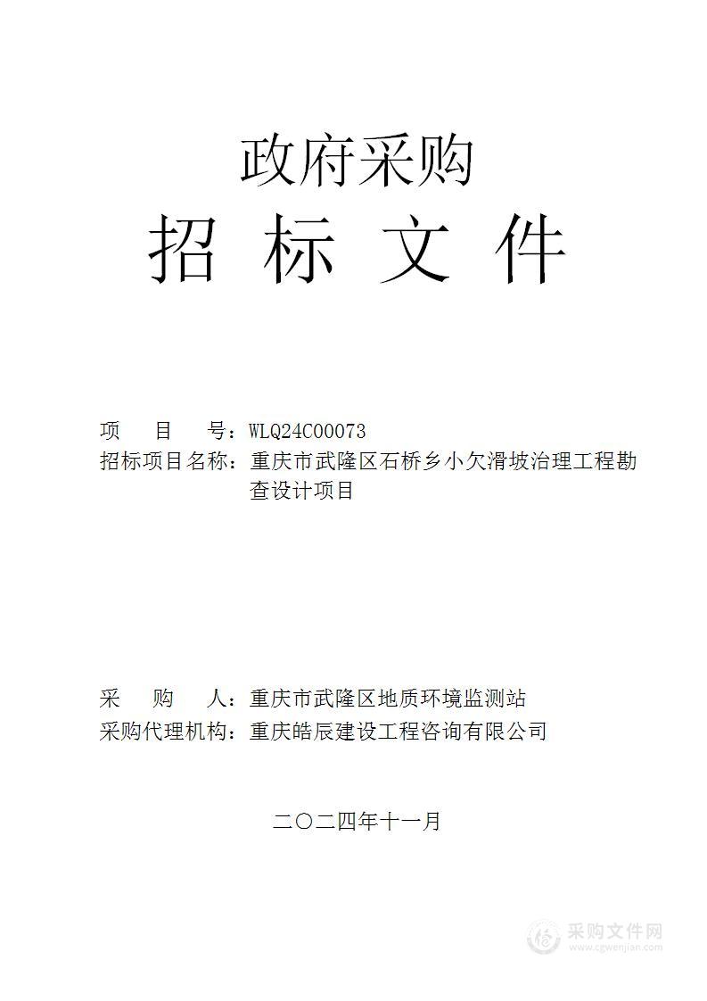 重庆市武隆区石桥乡小欠滑坡治理工程勘查设计项目