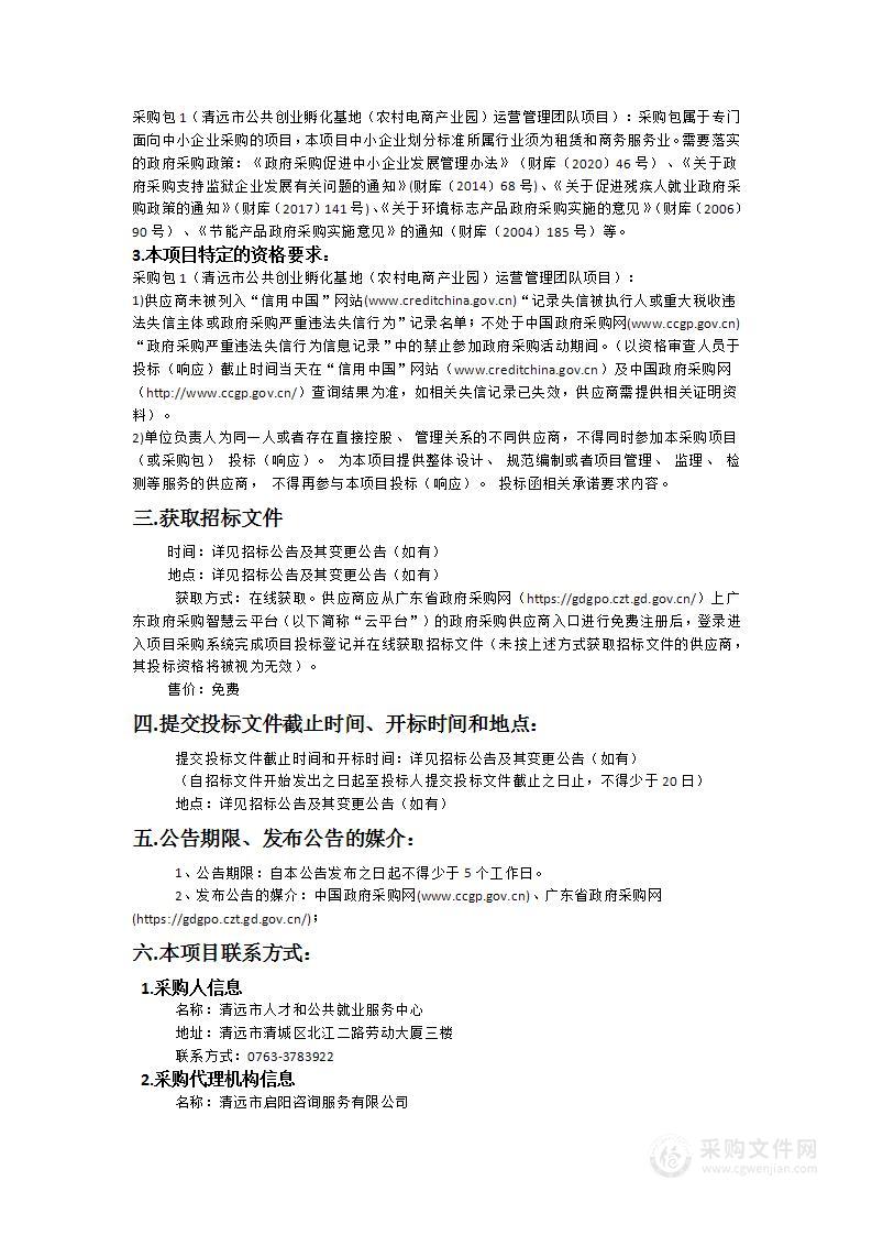 清远市公共创业孵化基地（农村电商产业园）运营管理团队项目