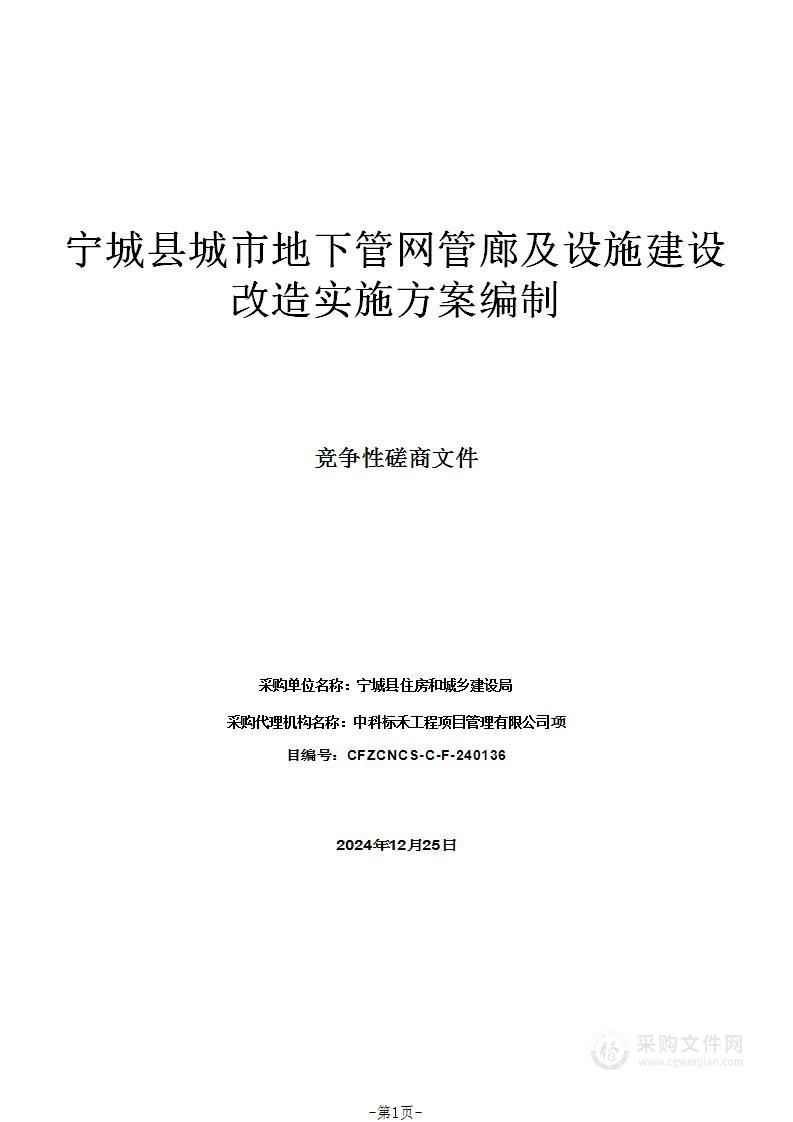 宁城县城市地下管网管廊及设施建设改造实施方案编制